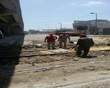 صورة مصغّرة