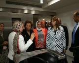 صورة مصغّرة