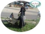 صورة مصغّرة