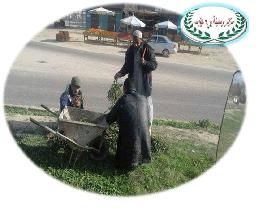 صورة