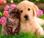 صورة مصغّرة