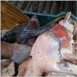 صورة مصغّرة