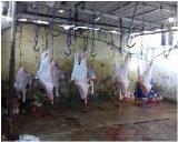 صورة مصغّرة