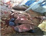 صورة مصغّرة