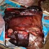 صورة مصغّرة