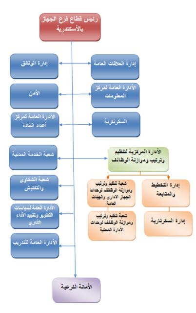 الهيكل التنظيمي للجهاز المركزي للتنظيم والادارة