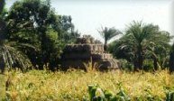 /tourism/DocLib/صور%20السياحة%20البيئية/fayoum2.jpg